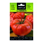 Tomate Marmande VR tipo Holanda RAF