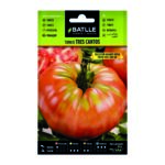 Tomate Tres Cantos sel. Gigante Rosa 400-500gr